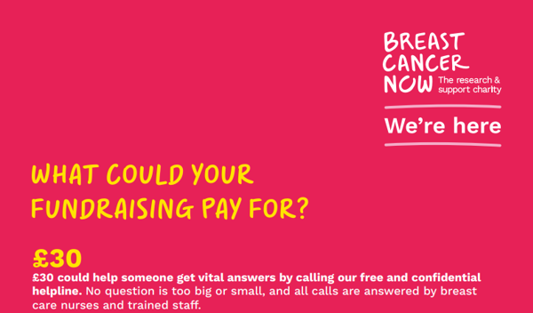 Fundraising Poster 2 Cover Image