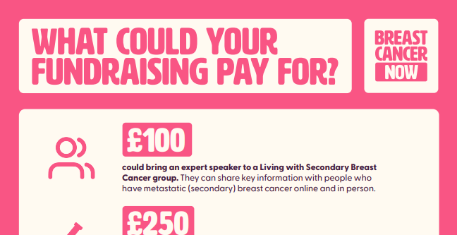 Fundraising Poster 1 (Cover Image)