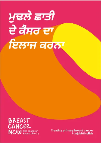 BCC251 Punjabi Treating Primary Breast Cancer Thumbnail